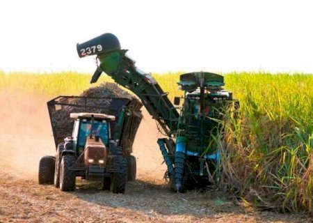 Safra da cana em MS cresce 3,8% e supera as 46 milhões de toneladas em 2023