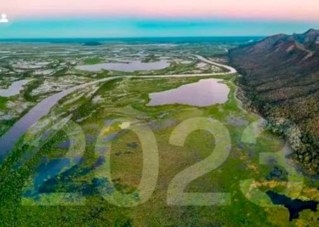Depois do fogo, Lei do Pantanal é 'chama' de esperança na continuidade do bioma