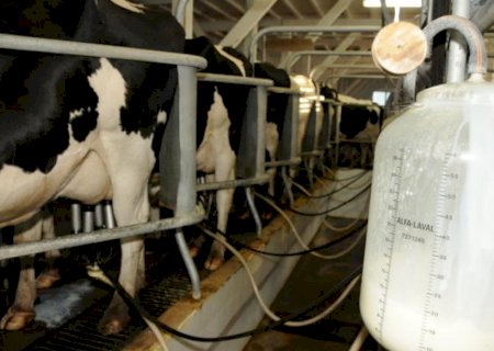 Preço do leite pago ao produtor acumula perdas de 23,8% em 2023