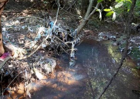 Arborizar não basta: preservação de nascentes depende de educação da cidade