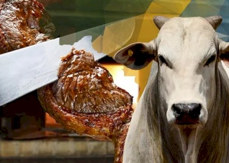 Afinal, de onde vem a carne que comemos? Conheço o ‘Mapa do Boi’