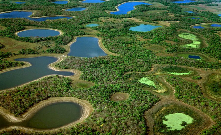 Conheça o pantanal  Sul-Mato-Grossense