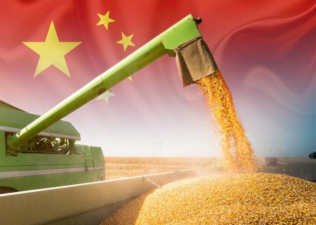 Brasil amplia dependência da China nas exportações de grãos