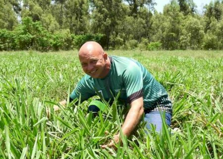 Com novo pasto, produtor de MS abraça Sistema Diamantino