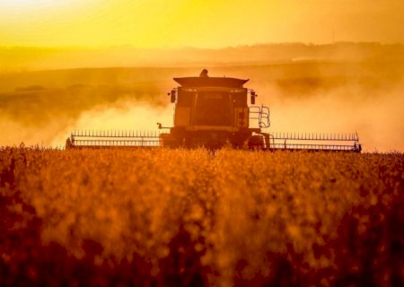 Clima desafia agronegócio brasileiro em 2024