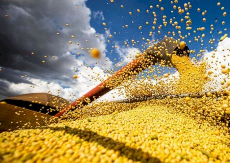 Importação de soja do Brasil pela China cresce 29%