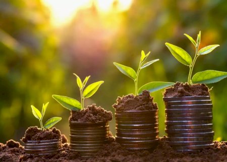 Seguro rural: subvenção alcança 107 mil apólices com orçamento de R$ 933 mi