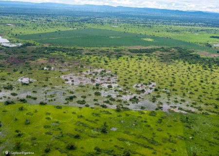 Chuvas irregulares e calor extremo atrasam cheias no Pantanal