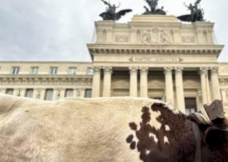 Agricultores levam bois e tratores em protesto na Espanha contra UE | Brasilagro