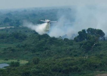 Pouca chuva e previsão de seca deixam 20 municípios com maior risco de incêndio