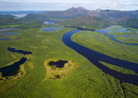 Com atuação coordenada por terra e ar, bombeiros de MS controlam incêndio no Pantanal