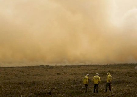 STF determina plano de combate a incêndios no Pantanal e na Amazônia