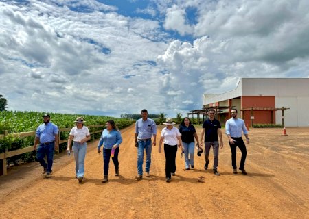 Sustentabilidade: Aprosoja/MS e Ampasul certificam unidades produtoras de soja
