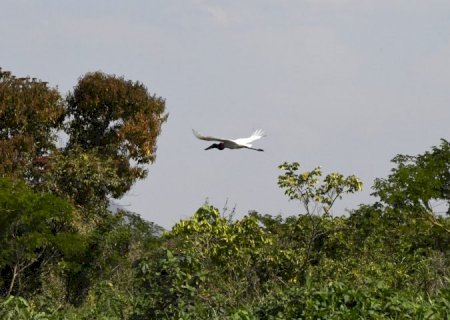 Com início do outono, estiagem ganha força e mantém alerta de incêndios florestais no Pantanal