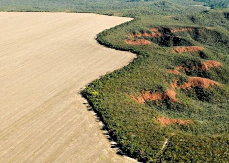 Cerrado tem alta de 19% nos alertas de desmatamento em fevereiro