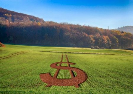 Recursos do Garantia-Safra começam a ser pagos a mais 243 mil agricultores