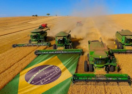 Brasil se tornou maior produtor de “Feijão Chinês' do mundo, você sabia?