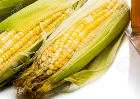 Na terra da cana, 17% da produção de etanol já provém do milho