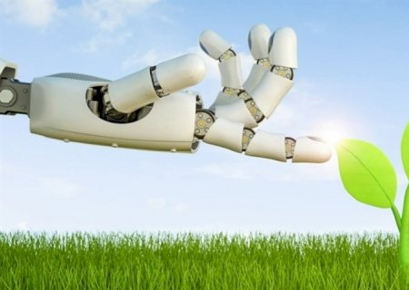 Análise de dados impacta agronegócio