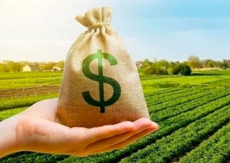 CNA propõe alta de 30% no dinheiro disponível para o Plano Safra