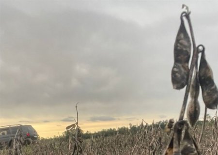 Enchentes em maio causam perdas milionárias para produtores