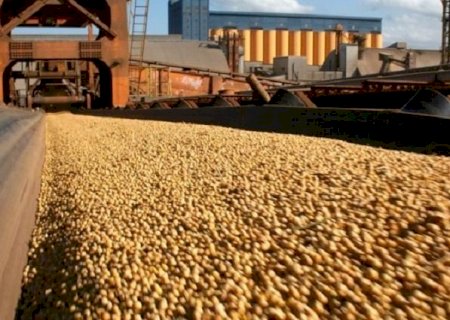 Exportações de MS chegam a 3,1 bilhões de dólares no acumulado do 1º quadrimestre de 2024