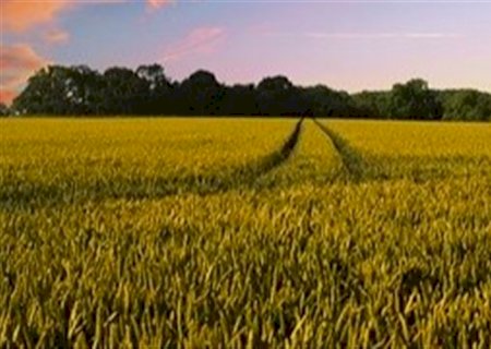 Brasil perto da liderança do agro