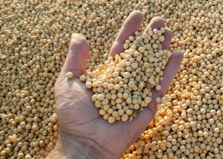 Greve na Argentina impulsiona exportação de soja do Brasil