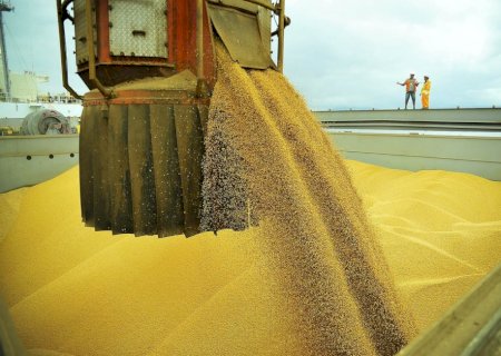 Brasil deve embarcar até 13,825 mi de t de soja em maio, aponta ANEC