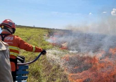 Grupo com 100 militares se divide para combater guerra contra o fogo no Pantanal