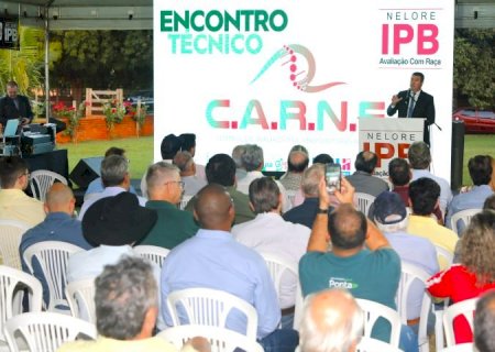 Pecuária sul-mato-grossense busca na genética formas de aumentar a produtividade e qualidade da carne