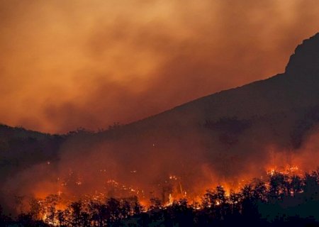 Com aumento de áreas queimadas no Brasil em 2024, crianças clamam: “Salve o planeta” e “Cuida da Terra”