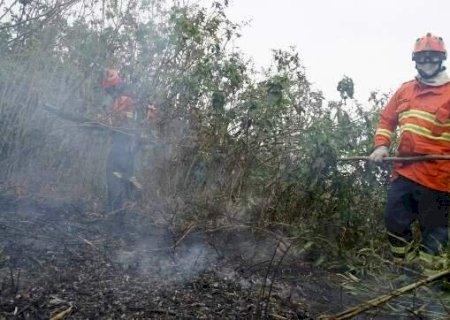 União reconhece emergência por incêndios em 12 cidades de MS