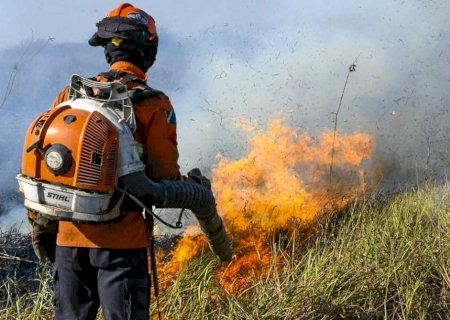 Situação no Pantanal é das piores já vistas, governo discute aumentar recursos