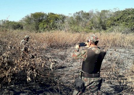 MS já aplicou R$ 54 milhões em multas por incêndios no Pantanal