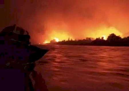 STF reconhece omissão do Congresso e dá prazo para lei de proteção ao Pantanal