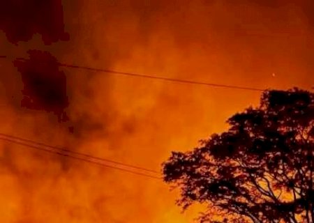 Incêndio de grandes proporções atinge vegetação às margens da BR-376