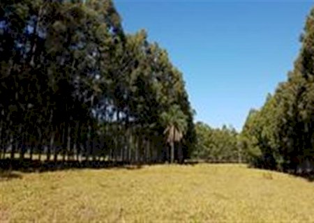 Brasil precisa avançar na gestão de riscos climáticos