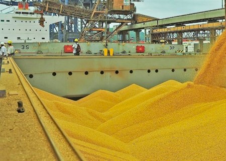 Análise da soja e do milho na semana