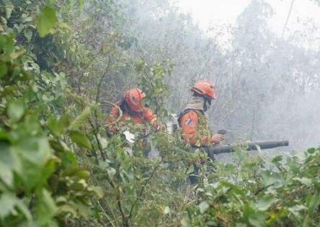 Guerra contra o fogo no Pantanal já mobilizou 415 bombeiros de MS
