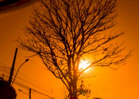 Clima de deserto: Das 20 cidades mais secas do País, 10 são municípios de Mato Grosso do Sul