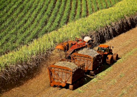 Moagem de cana atinge 49 milhões de toneladas na primeira quinzena de junho