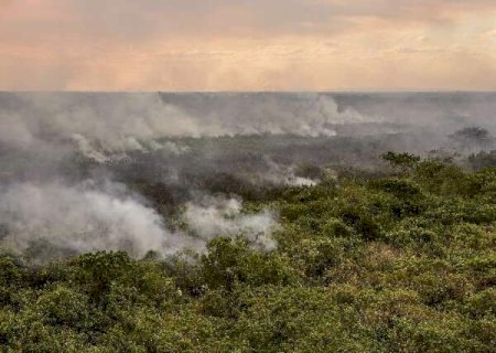 Bancada de MS defende convergência e celeridade para aprovar Lei do Pantanal