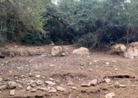 Trecho de rio com águas cristalinas seca e expõe morte de animais em MS; veja ANTES e DEPOIS
