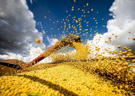 Balança comercial: MS encerra o primeiro semestre com saldo positivo de US$ 3,7 bilhões