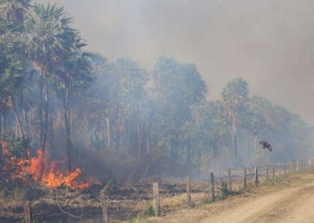 Clima piora e Pantanal volta a ter seis focos de incêndios