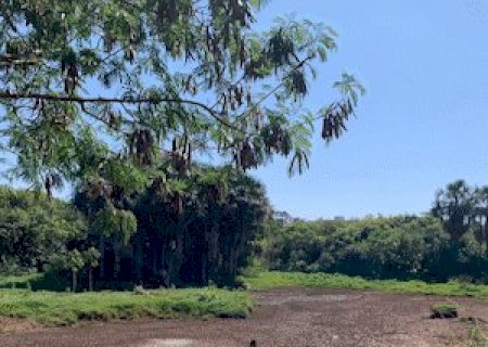 Além do Pantanal, seca faz lagoa do Água Limpa 'sumir' completamente na Capital
