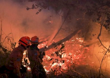 Combate direto e noturno segue como estratégia para controlar focos em seis pontos do Pantanal