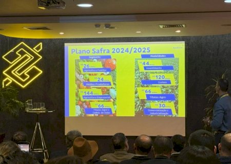 Banco do Brasil disponibiliza R$ 260 bi para o Plano Safra 2024/2025