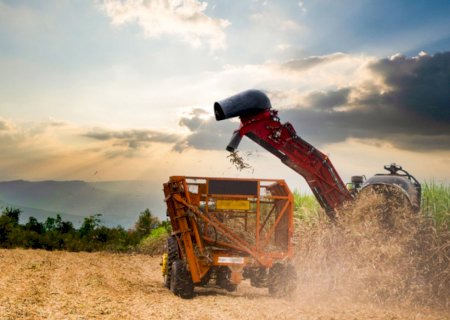 Exportações do agronegócio brasileiro atingem US$ 15,20 bi em junho e US$ 82,39 bi no semestre